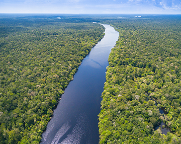 Amazonasregenwald - Gebiet der Waiãpi