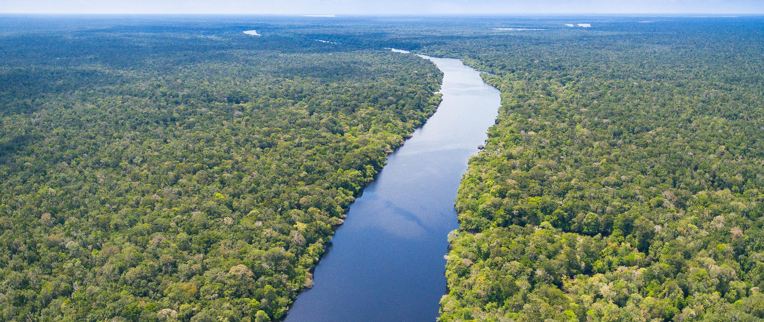 Der Amazonas im brasilianischen Regenwald