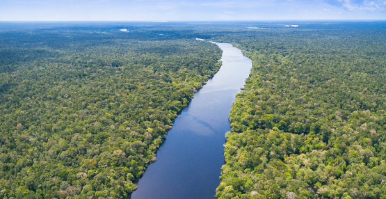 Der Amazonas im brasilianischen Regenwald