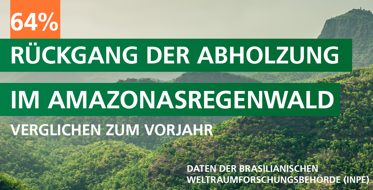 Aus den Daten der brasilianischen Weltraumforschungsbehörde geht hervor, dass die Abholzungen im Amazonasregenwald rückläufig sind.