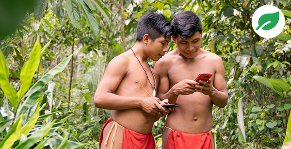 Zwei männliche jugendliche Waiãpi nutzen ein Smartphone für den Zugang zu Informationen