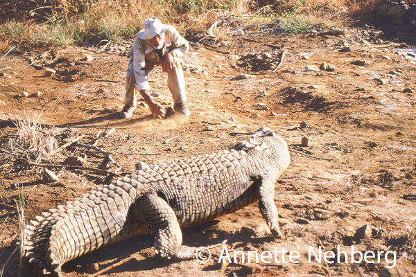 Rüdiger Nehberg mit Krokodil