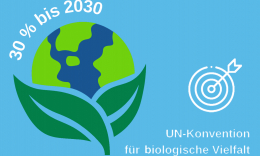 30 Prozent bis 2030 Ziel der UN-Konvention für biologische Vielfalt - Grafik