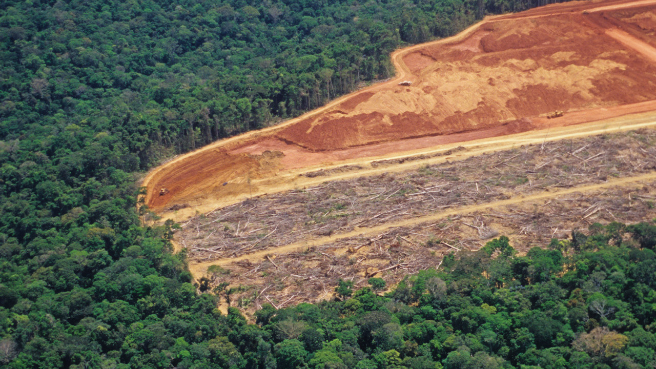Kahlschlag für Landwirtschaft im Amazonas-Regenwald.