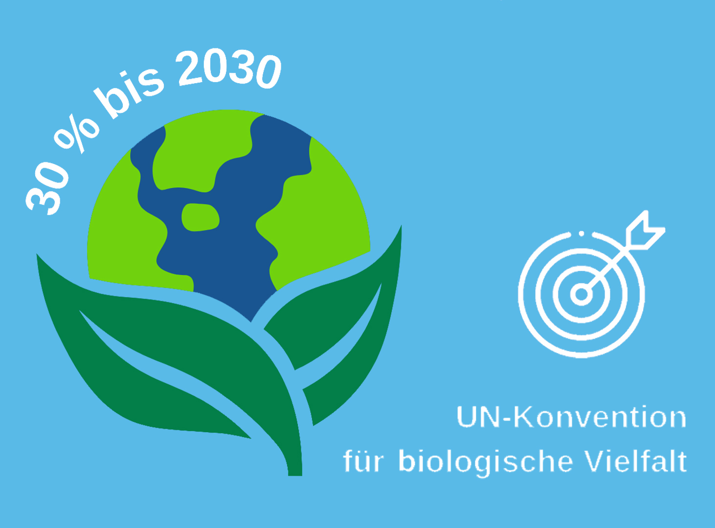 30 Prozent bis 2030 Ziel der UN-Konvention für biologische Vielfalt - Grafik