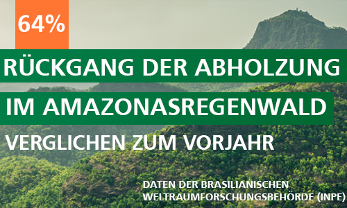 Positive Neuigkeiten aus dem Amazonasregenwald – Abholzung geht zurück